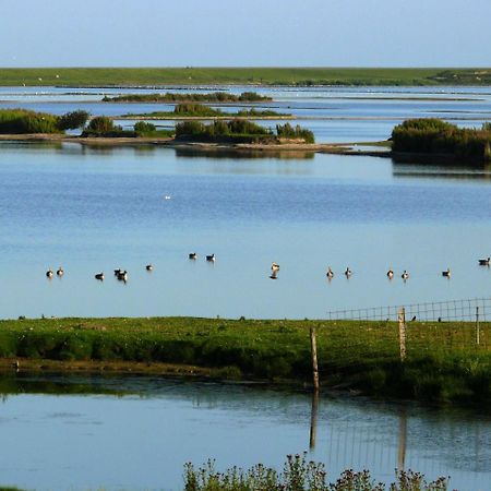 Haus-Halligblick-Ferienwohnung-Hamburger-Hallig Dagebüll Esterno foto