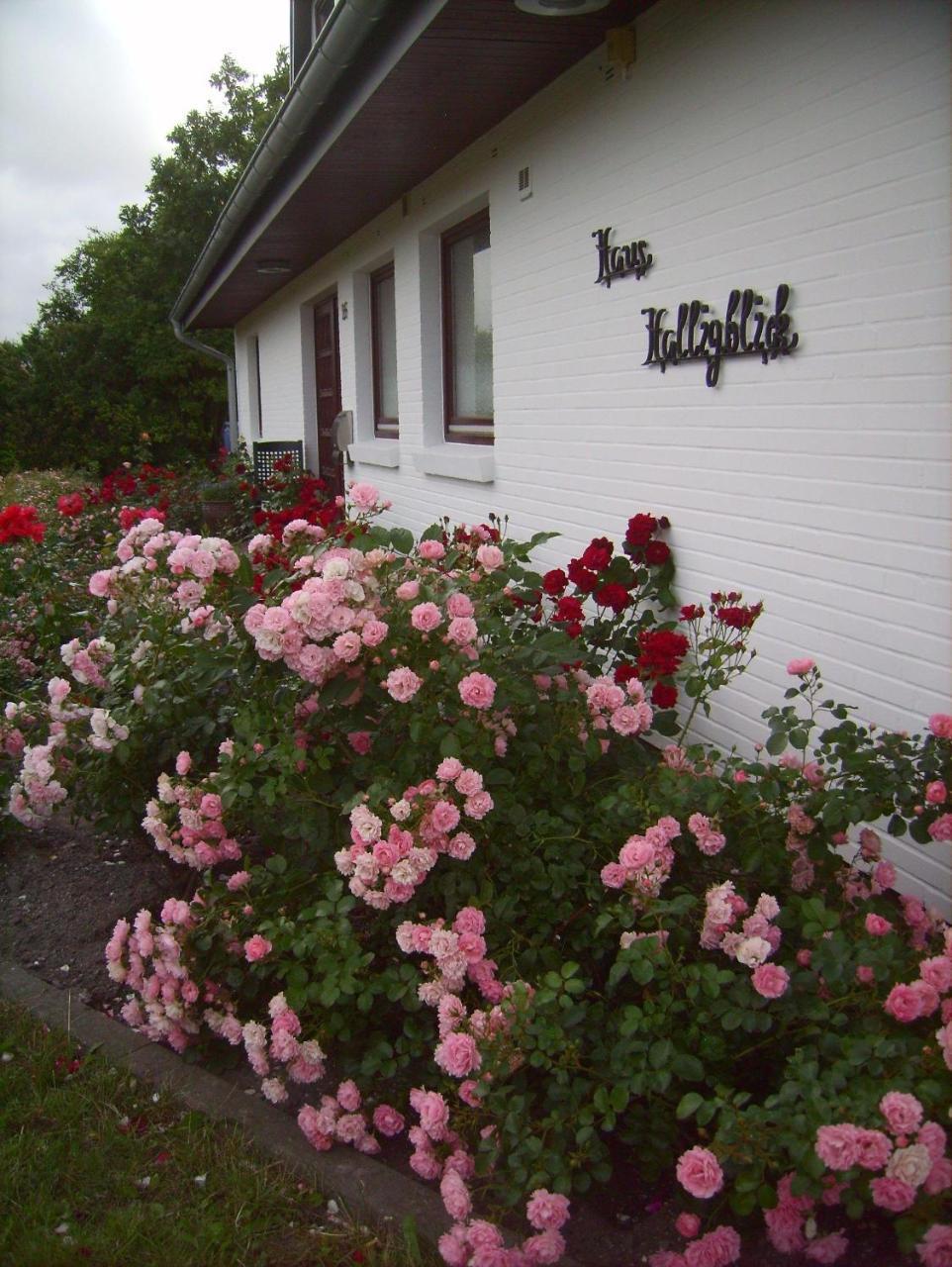 Haus-Halligblick-Ferienwohnung-Hamburger-Hallig Dagebüll Esterno foto