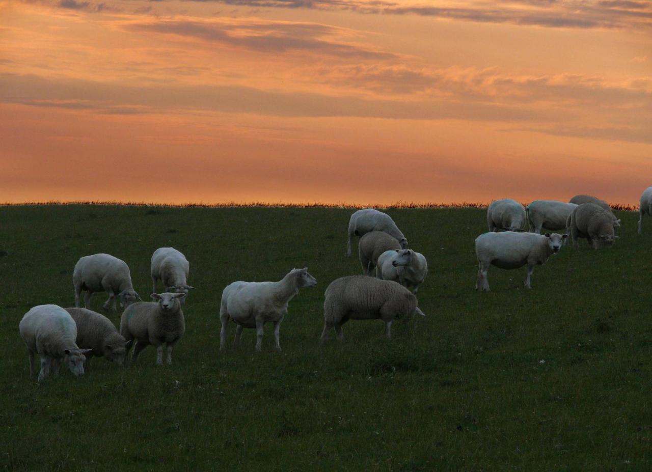 Haus-Halligblick-Ferienwohnung-Hamburger-Hallig Dagebüll Esterno foto