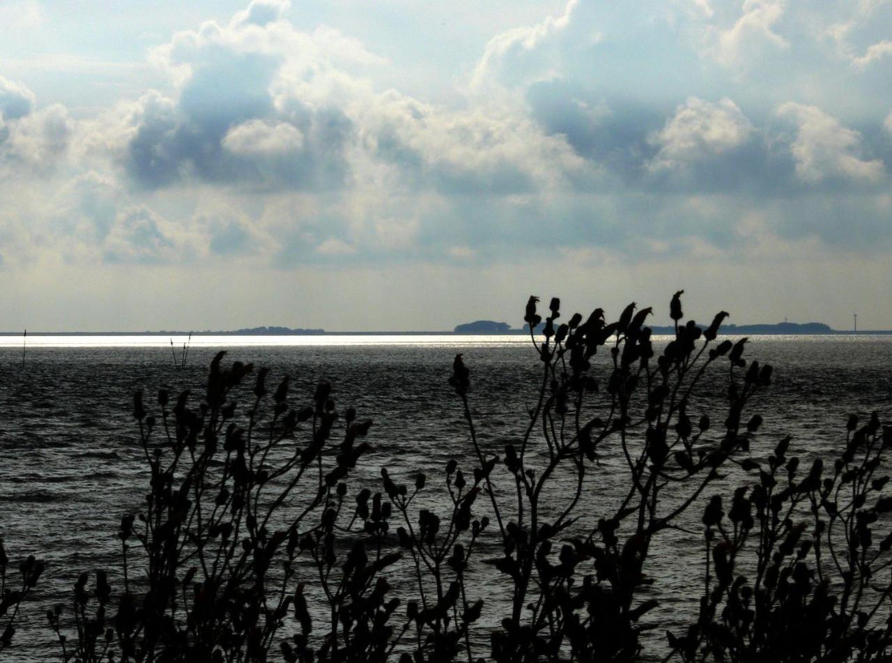 Haus-Halligblick-Ferienwohnung-Hamburger-Hallig Dagebüll Esterno foto