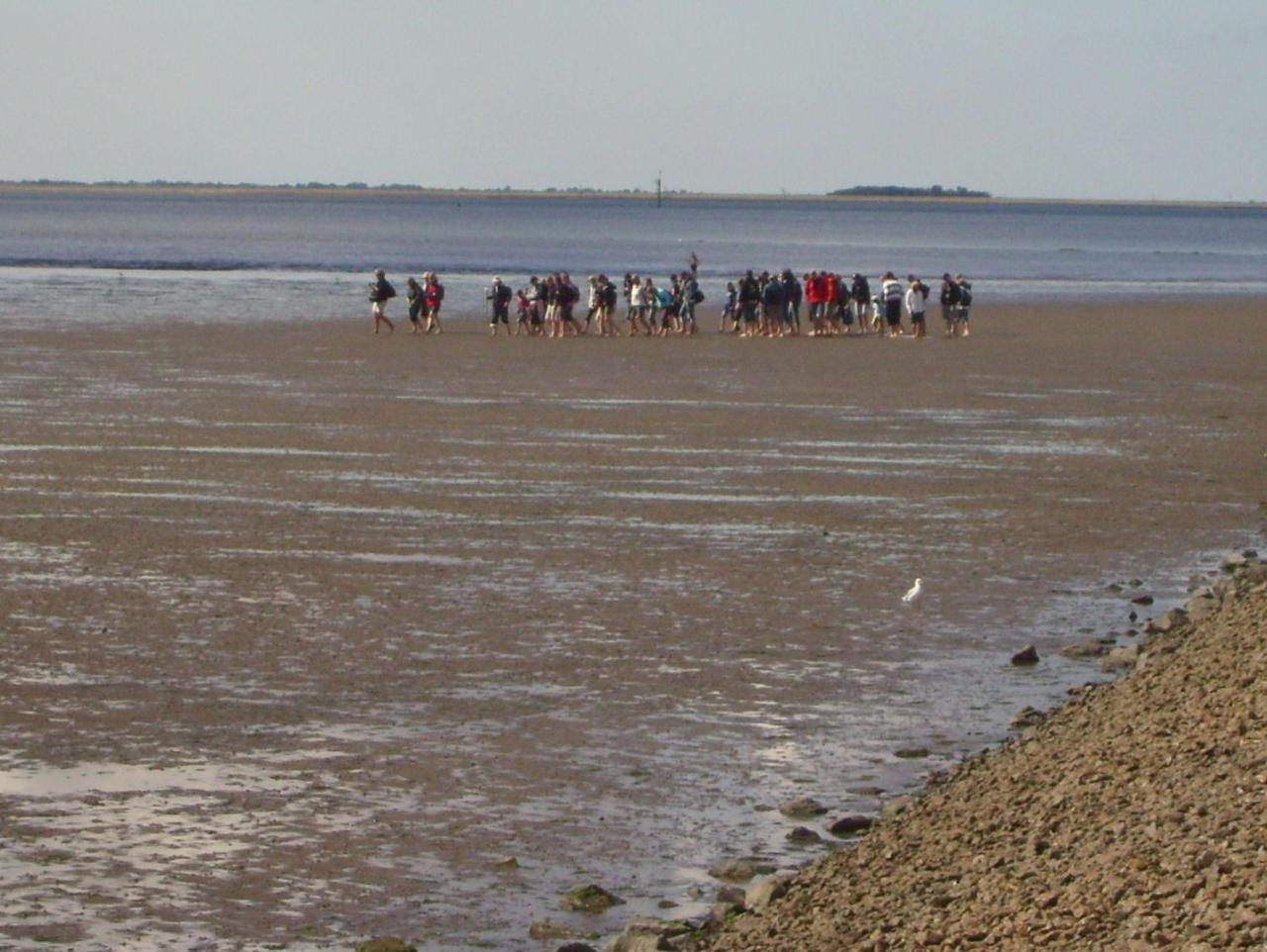 Haus-Halligblick-Ferienwohnung-Hamburger-Hallig Dagebüll Esterno foto