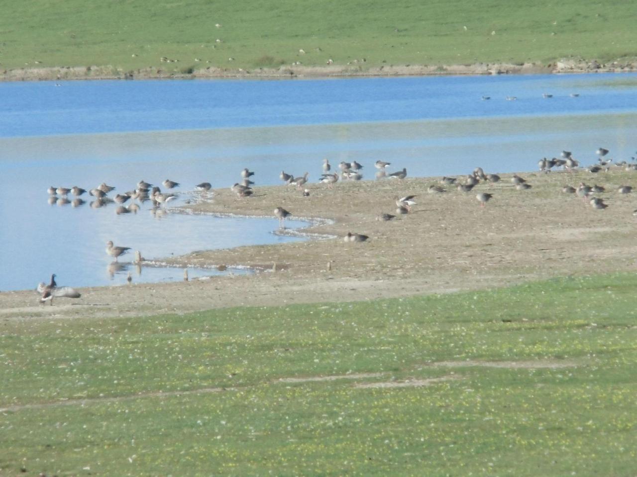 Haus-Halligblick-Ferienwohnung-Hamburger-Hallig Dagebüll Esterno foto