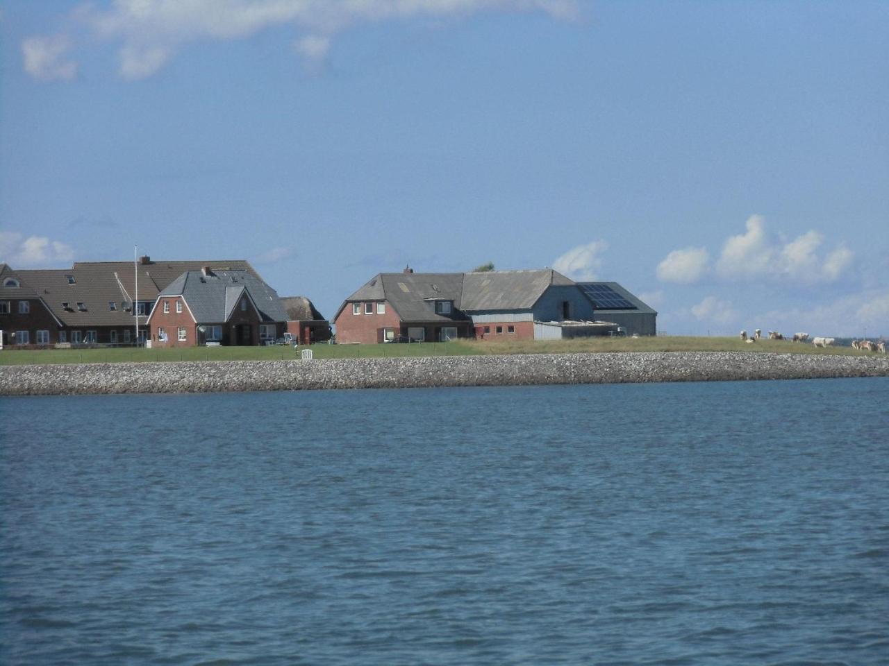 Haus-Halligblick-Ferienwohnung-Hamburger-Hallig Dagebüll Esterno foto