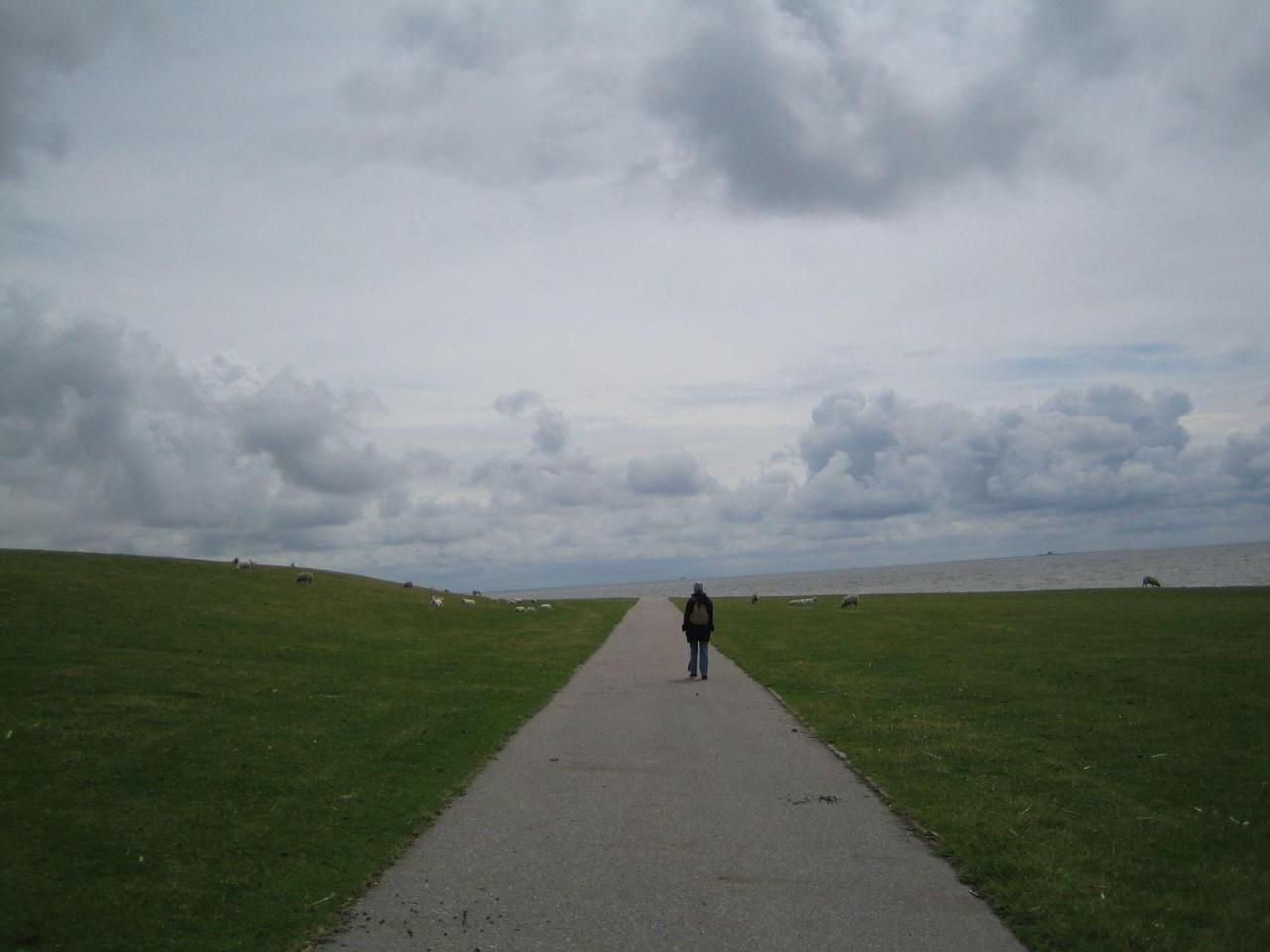 Haus-Halligblick-Ferienwohnung-Hamburger-Hallig Dagebüll Esterno foto