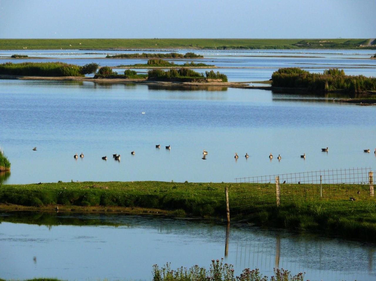 Haus-Halligblick-Ferienwohnung-Hamburger-Hallig Dagebüll Esterno foto